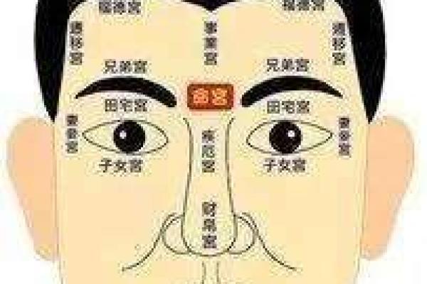 男面相图：解读发丝间的人生智慧