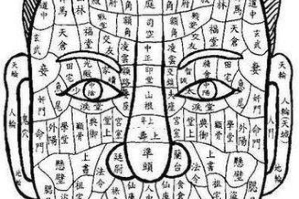 男面相图：解读发丝间的人生智慧