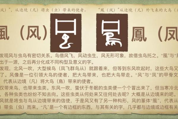守恒之美：汉字姓名的音韵与意象解枿