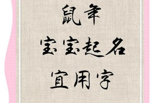 属鼠宝宝命名：精选鼠年吉祥字，传承美好寓愿