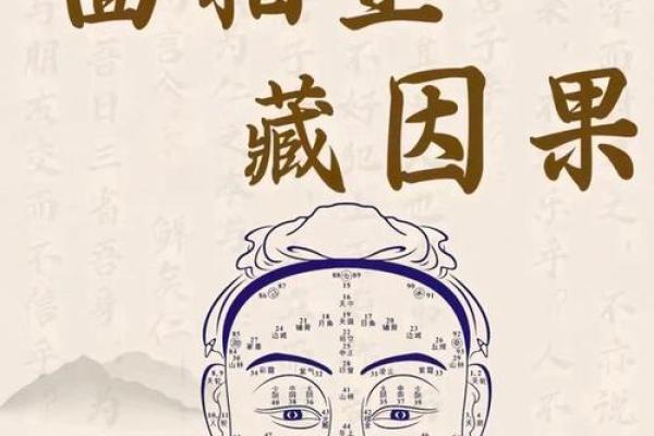 耳垂丰满面相解析：财运亨通，福泽深厚