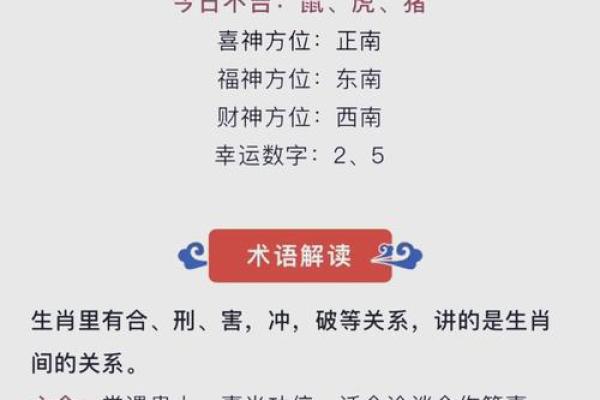 耳垂丰满面相解析：财运亨通，福泽深厚