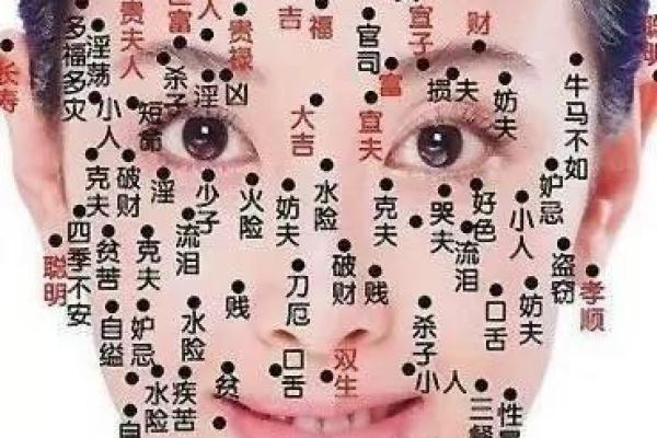 面相解码：洞察事业心的秘密之门
