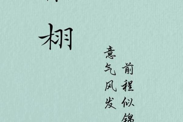 公司起名选择景字的创意与文化意义