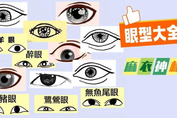 眼望穹苍，智慧无际——揭秘上视面相的神秘魅力