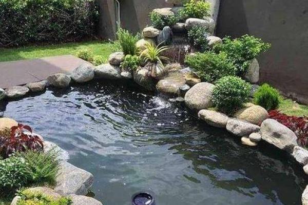 办公室风水水池，财运滚滚的秘密花园