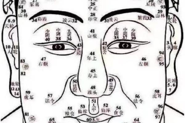 富豪面相解析：财运亨通的面相奥秘
