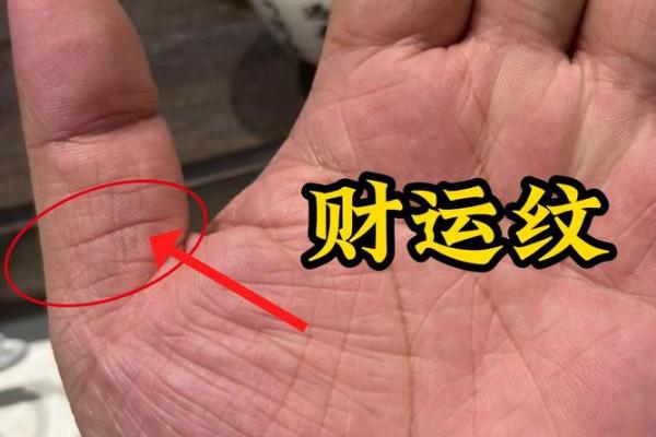 富豪面相解析：财运亨通的面相奥秘