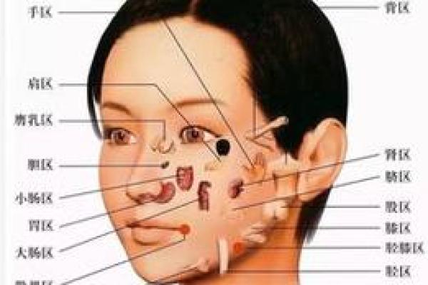 面相解析：揭秘贪色女子的神秘面相特征