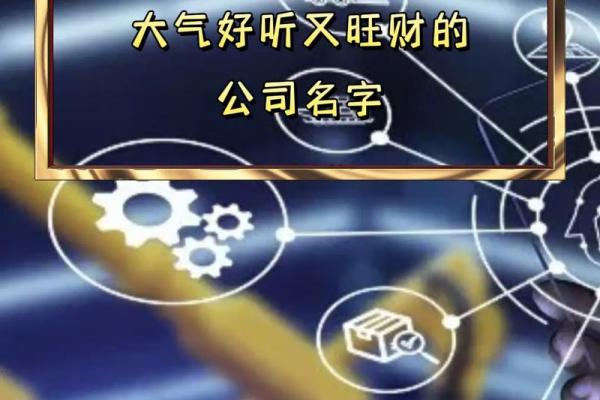 名字心理学：教育咨询公司名字如何影响品牌形象