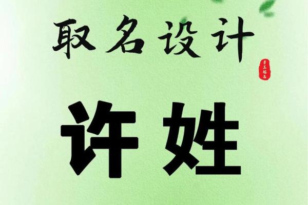 周许名字解析：探寻名字背后的寓意与人生轨迿