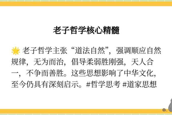 道教哲学对中国传统文化发展的深远影响