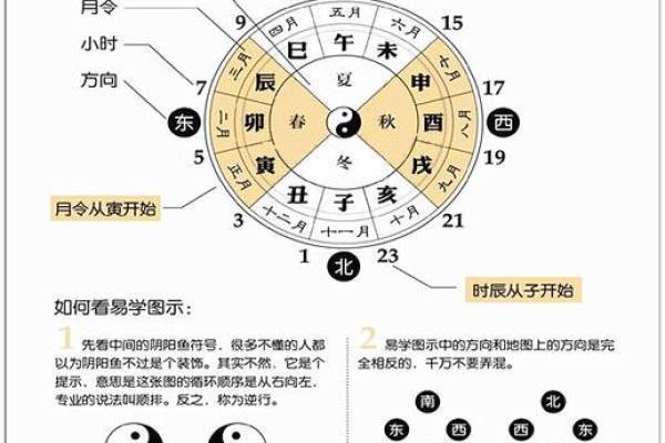 牛年生辰八字解析：如何通过命理改善运势