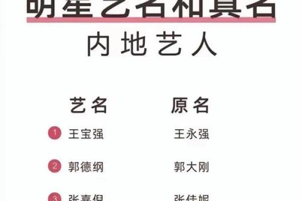 姓名魅力解析：衣服招牌名字大揭秘