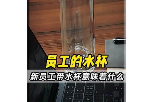工位风水必备，水杯让你财运滚滚来