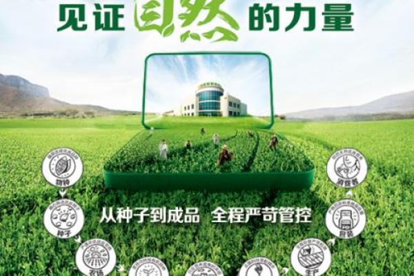 润滑油公司命名创意指南：如何为您的品牌选择完美名称