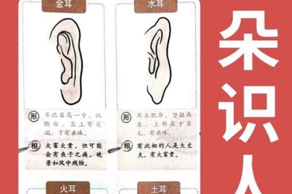 面相奇观：腿毛透露的神秘面相秘密