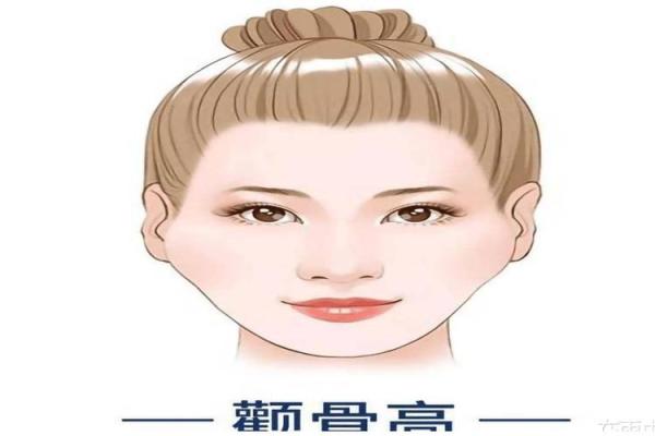 颧骨近眼面：揭秘面相中的魅力焦点