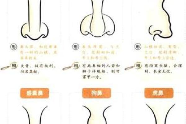 面相蚕豆眉：揭秘财运亨通的秘密武器