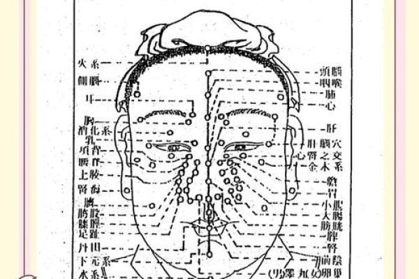 面相解析：下巴前伸的个性特征与运势启示