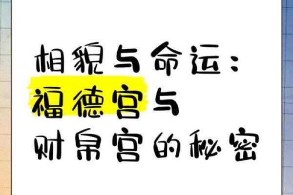 面相之谜：探寻个性与命运的神秘纽带