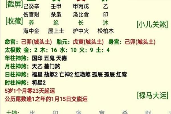 解密生辰八字：揭示个人的五行命格