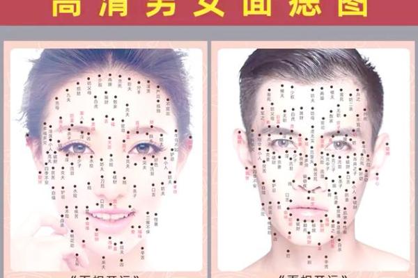 大腿藏子面相：神秘面相学揭秘