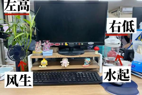 斗鱼入室，办公室风水大变样，快来学学怎么布局！