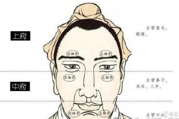 眉如波浪纹，运势起伏间——揭秘面相中的神秘力量
