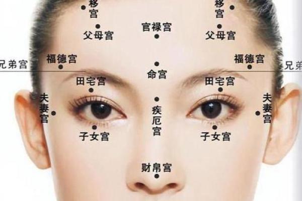 鼻中有节面相之谜