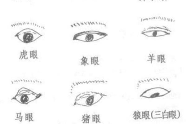 细腿面相：揭示财运与健康的神秘密码