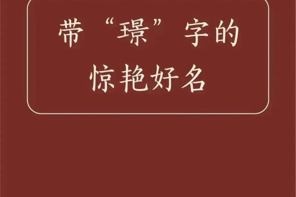 带芯名字新风尚：流行趋势下的个性选择