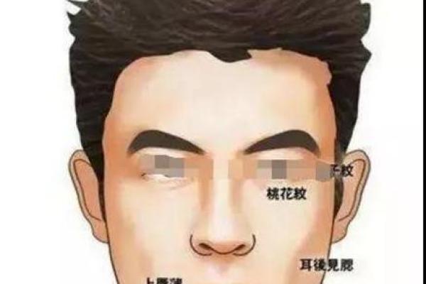 圆脸秃顶面相解析：智慧与稳重的完美结合
