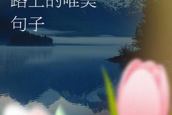 浩晖之名，照亮前行路：名字对个人成长的影响与启示