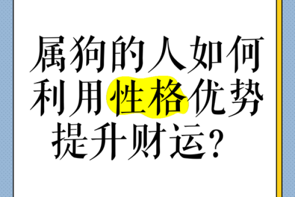 属狗办公空间财运亨通：风水布局秘诀一网打尽！