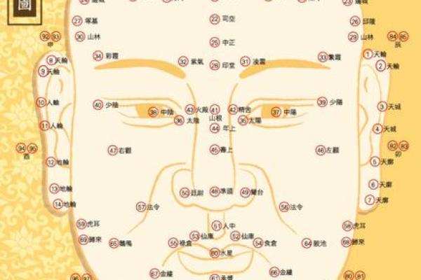 自来卷面相揭秘：财运亨通，福星高照的秘密面相