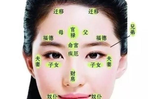 长毛脸蛋面相解析：毛发生长与性格命运的奥秘揭示