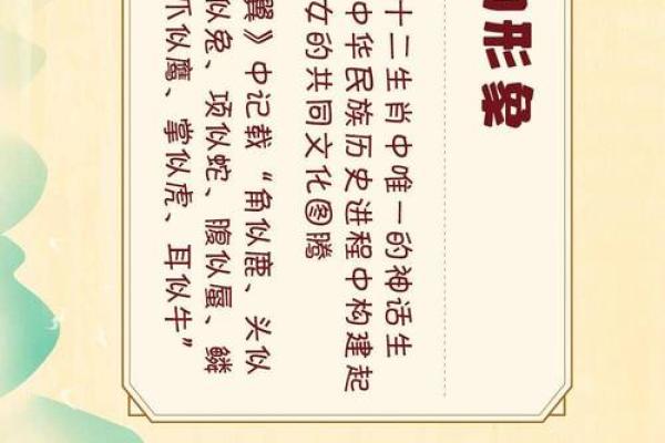 名字的力量——福华：吉祥与美好的象征