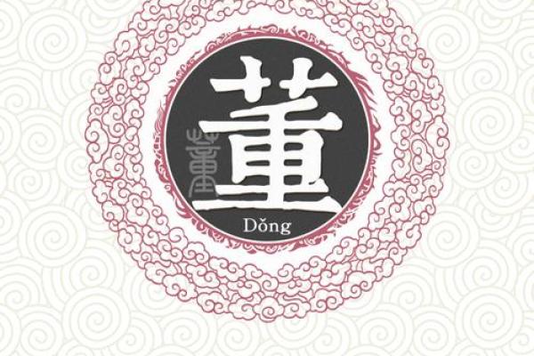 精逿016年董姓女孩名字：独特韵味与寓意融吿