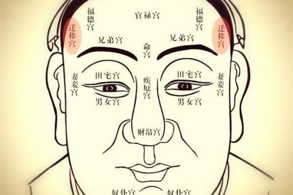 面相百态揭秘录