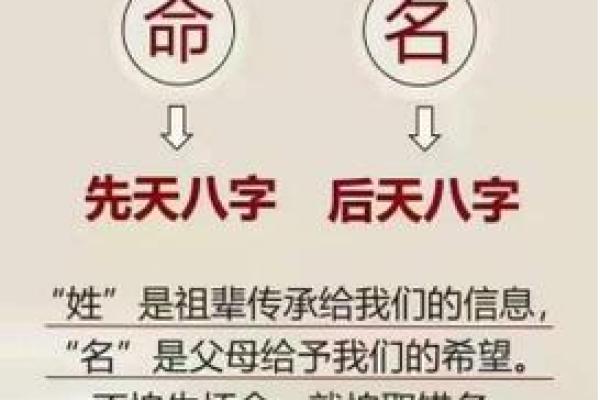 名字里的故事：揭秘姓名背后的文化传承