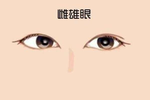 眼皮多眼，福缘深厚——面相揭秘