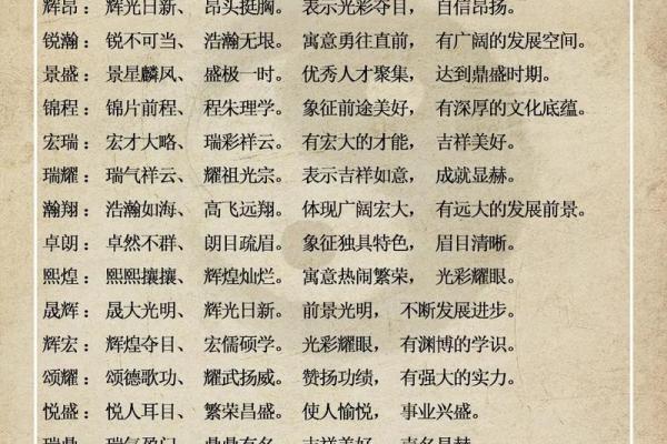 使用公司起名试用版，快速找到理想名称