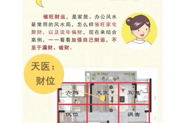 办公室风水秘籍：入户布局助你财运亨通