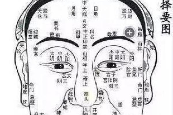 面相识真君：揭秘如何从面相挑选理想伴侣