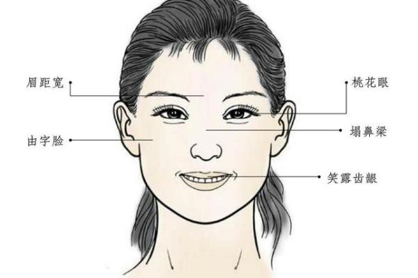 面相识真君：揭秘如何从面相挑选理想伴侣