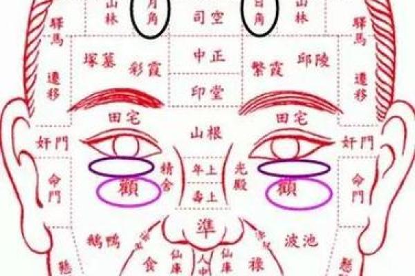 面如凝脂，福相天成——揭秘女性白面相的秘密