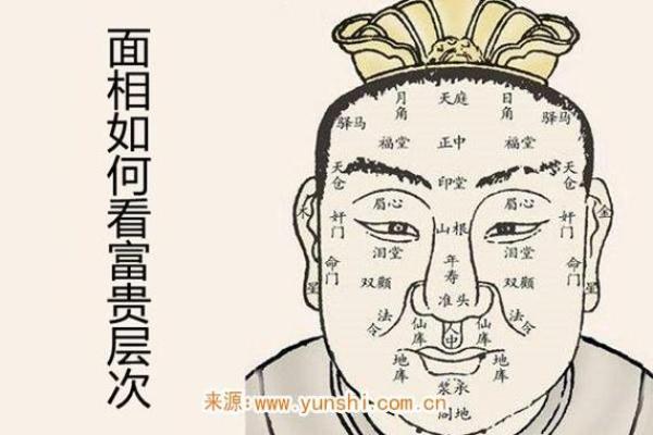 面相解析：颚平面相的富贵格局