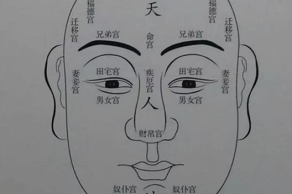 面相解析：颚平面相的富贵格局