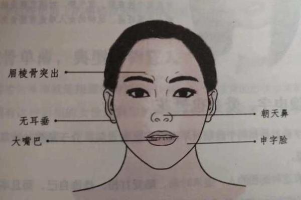 面相揭秘：克儿子的神秘魅力